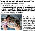 Seepferdchen und Blubberblasen